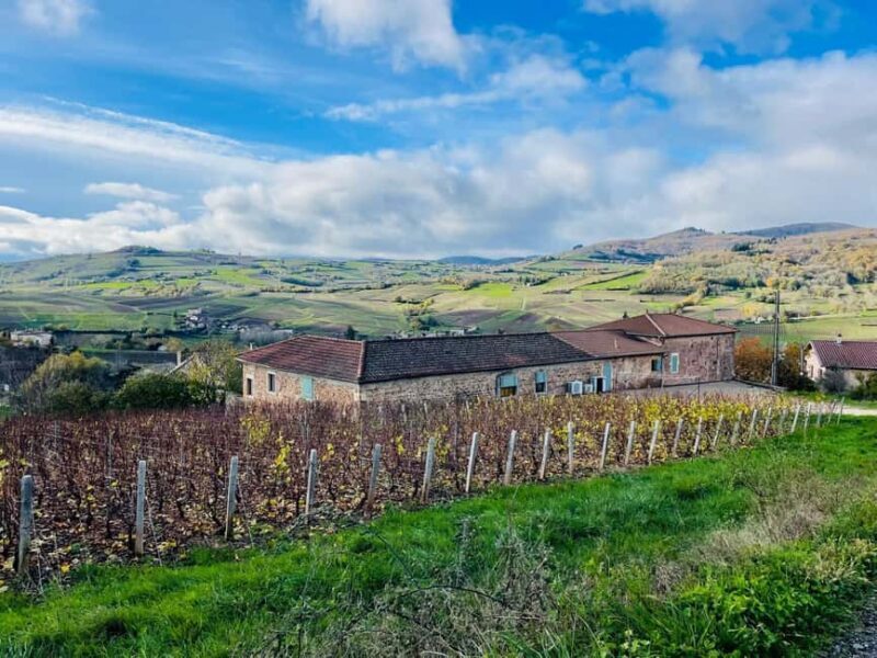 Wine tour in Pouilly Fuissé - Key Points