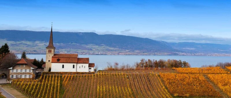 Wine tour in the canton of Vaud - Lavaux vineyards - Key Points