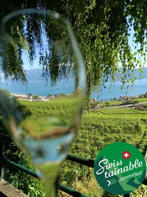 Wine tour in the canton of Vaud - Lavaux vineyards - The Experience: Walking Through Swiss Heritage and Vineyards