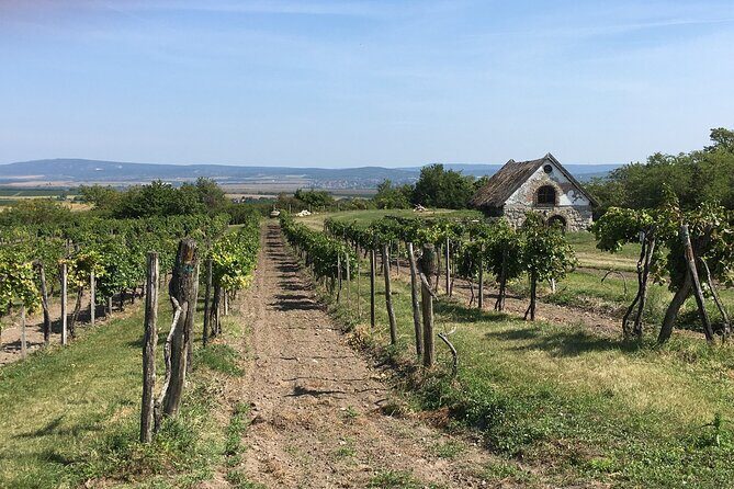 Wine Tour of Etyek from Budapest, taste even 7 kinds of wines! - Frequently Asked Questions (FAQs)