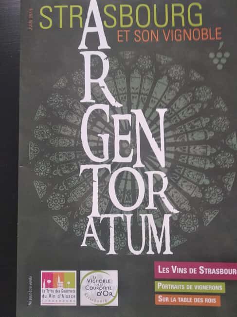 Wine tour of the Alsace wine route - An Honest Look at the Experience