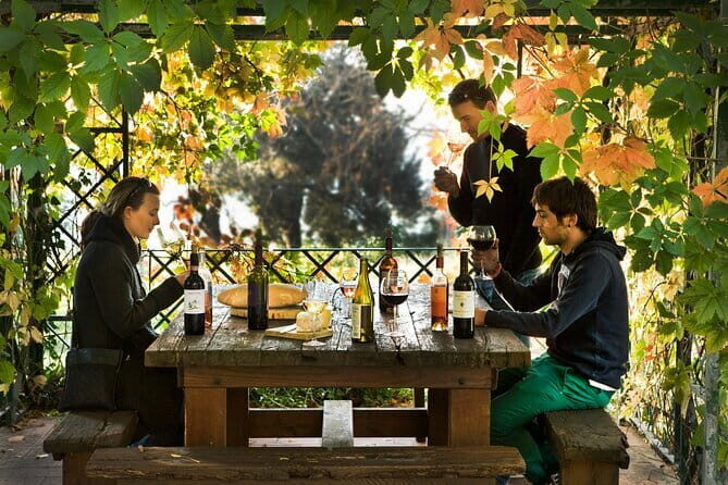 Wine Tour of two Chianti wine estates on the hills of Florence - Final Thoughts