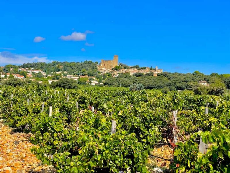Wine Tour: On the Way to Chateauneuf du Pape - The Guide and Group Size