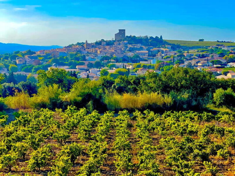Wine Tour: On the Way to Chateauneuf du Pape - Authentic Feedback from Travelers