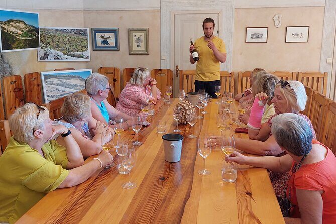 Wine tour Peljesac - Who is This Tour Best For?