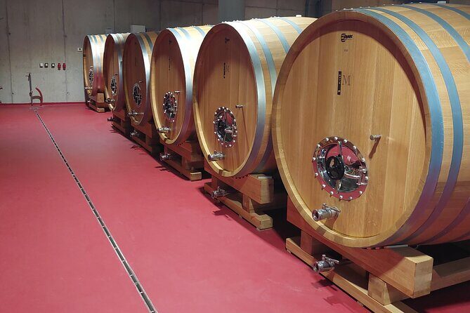 Wine tour Peljesac - Final Thoughts