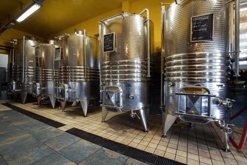 Wine Tour & Tasting of 6 Wines  Le Macchie, near Rome - Experience Overview: What This Tour Offers