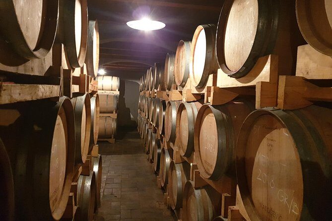 Wine Tour - The Best of Istria - Key Points