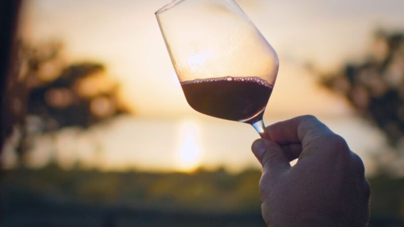 Wine Tour through the vineyards with tasting by Salt Lake - Exploring the Tour in Detail