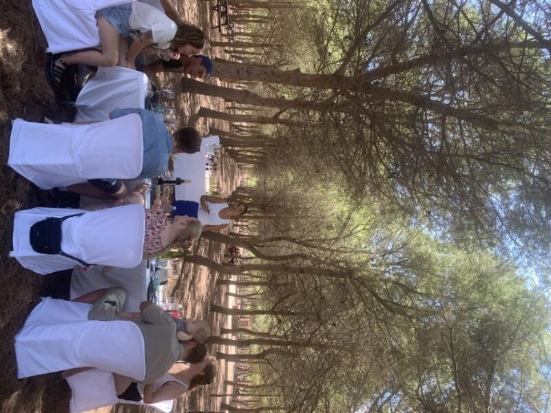 Wine Tour through the vineyards with tasting by Salt Lake - The Overall Value