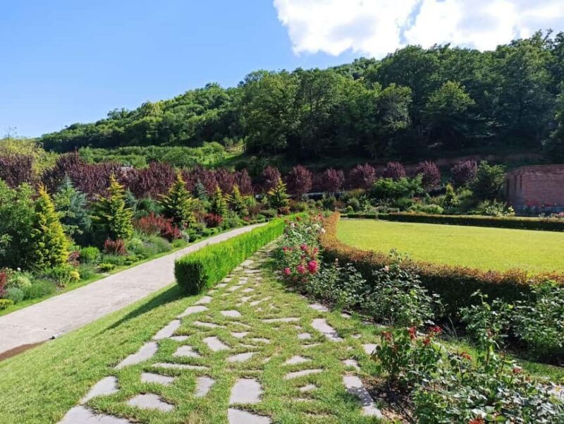 Wine tour to Kakheti: Sighnaghi, Bodbe, wine tasting - Final Thoughts: Is This Tour for You?