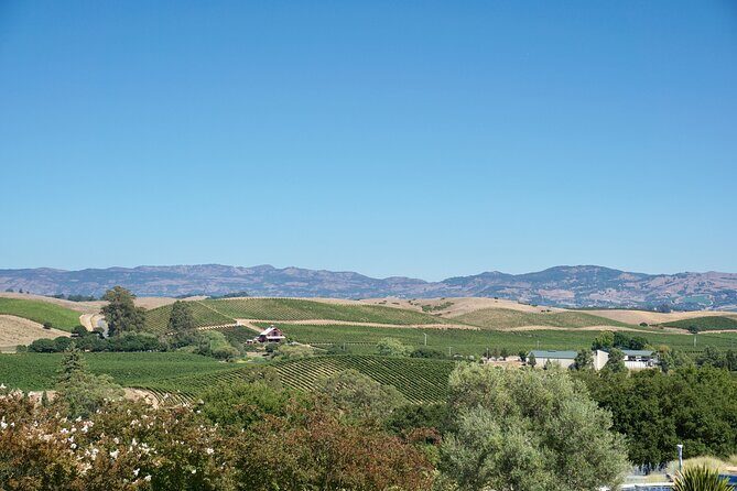 Wine Tour Transportation Services in Napa Valley - Who Should Consider This Tour?