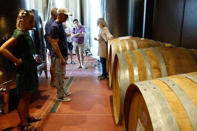 Wine Tour with Lunch and Wine Tasting - An In-Depth Look at the Experience
