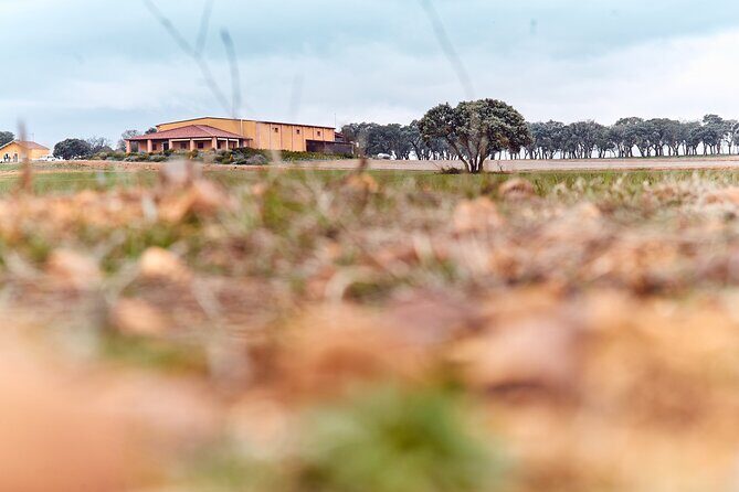 Wine tourism: Wine tasting - Exploring the Itinerary in Detail