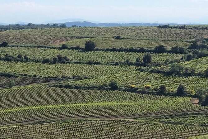 Wine Tours and Tastings from Béziers - What to Expect from the Béziers Wine Tour