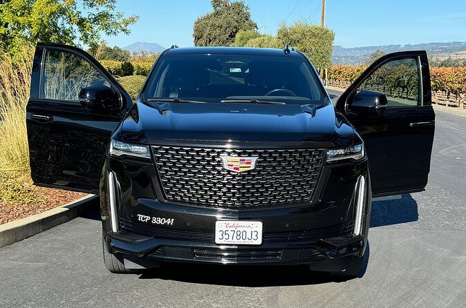 Wine Tours for 6 Hours and Private Transportation Services - Final Thoughts: Who Should Consider This Tour?