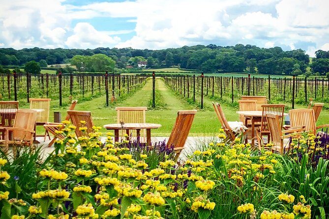 Wine Tours of Kent Private group booking - Why Consider This Wine Tour?