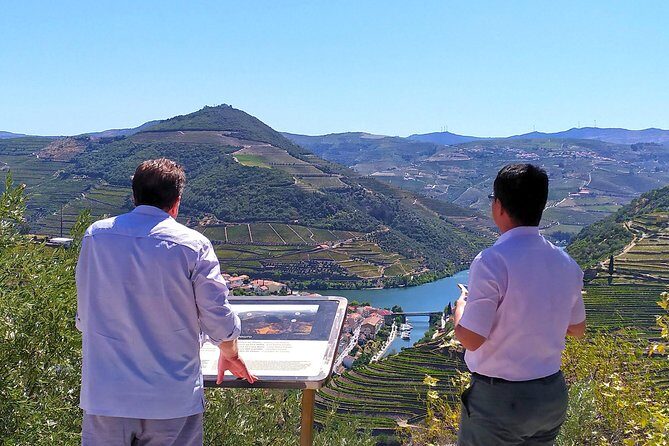 Wine Venture and Boat Trip in Douro Valley from Porto - Is This Tour Worth It?