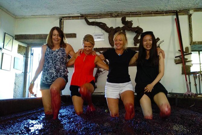 Wine Venture and Boat Trip in Douro Valley from Porto - Who This Tour Is Perfect For