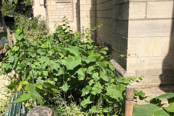 Wine Walk & Tasting in Saint-Germain-des-Prés - A Closer Look at the Tour Experience