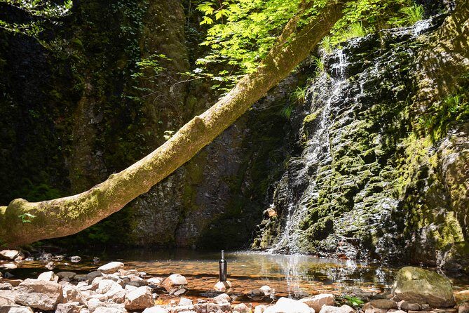 Wine & Wellness Tour in Napa Valley - Final Thoughts