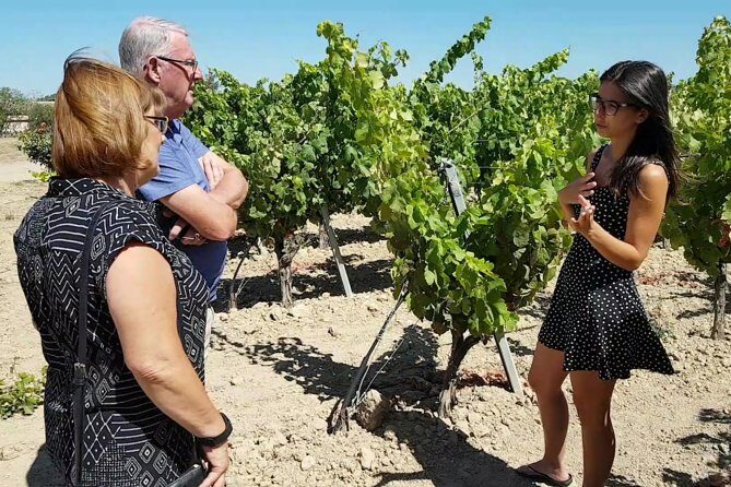 Winery And Oil Mill Tasting Tour - Who Will Love This Tour?