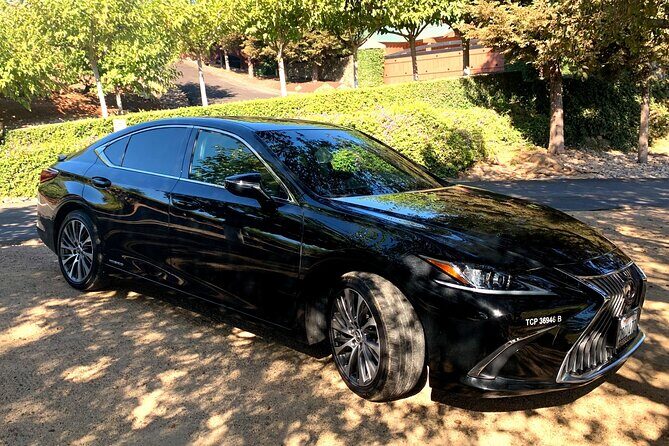 Winery and Vineyard Transportation in Private Black Sedan - Exploring the Tour Experience