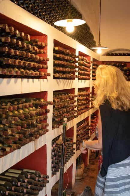 WINERY AND VINSANTAIA TOUR + TASTING + PLATTER - A Practical Look at the Winery and Vinsantaia Tour + Tasting + Platter