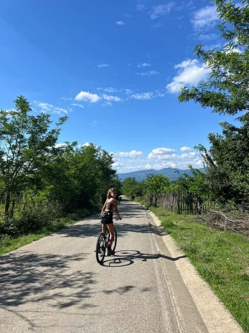 Winery Bike Tour from Kutaisi - Wine tasting & Vineyards - The Details of the Experience