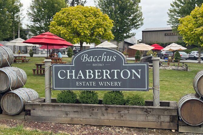 Winery Tasting at Boutique Vineyards - The Scenery and Atmosphere