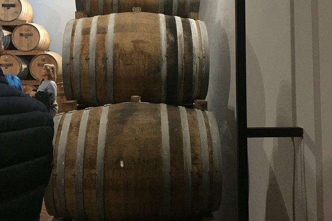 Winery tasting in Marsala and Mothia lagoon tour - Who Is This Tour Best Suited For?