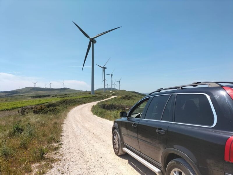 Winery, Tastings & 4WD Vineyards: Half-Day Trip from Lisbon - The Itinerary Breakdown