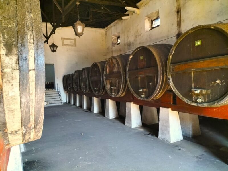 Winery, Tastings & 4WD Vineyards: Half-Day Trip from Lisbon - Tasting and Food Pairings