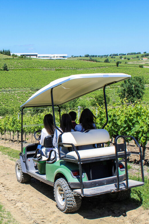 Winery, Tastings & 4WD Vineyards: Half-Day Trip from Lisbon - Practical Details and Value
