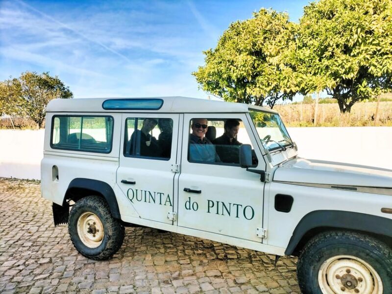 Winery, Tastings & 4WD Vineyards: Half-Day Trip from Lisbon - What the Reviews Say
