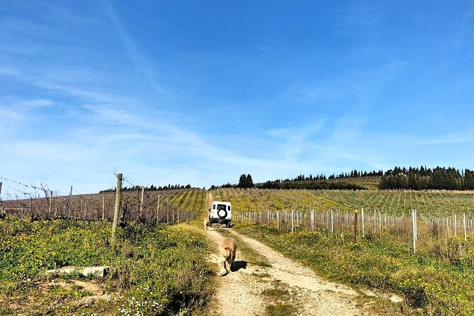 Winery, Tastings & 4WD Vineyards Ride, Half Day Trip from Lisbon - What the Tour Looks Like in Detail