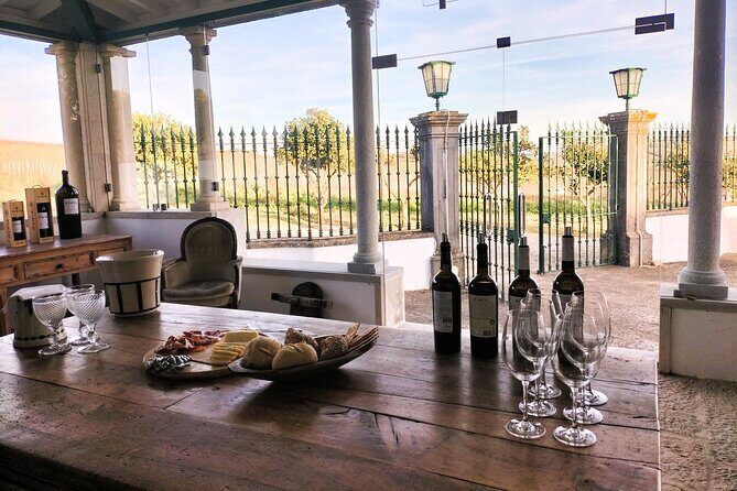 Winery, Tastings & 4WD Vineyards Ride, Half Day Trip from Lisbon - Final Thoughts