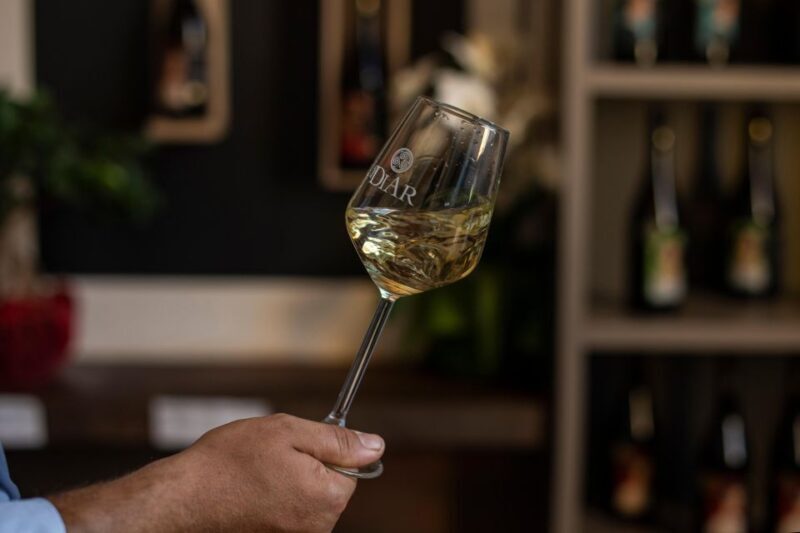 Winery tour and tasting of Sicilian organic wines in Marsala - A Friendly Look at the Winery Tour and Tasting of Sicilian Organic Wines in Marsala