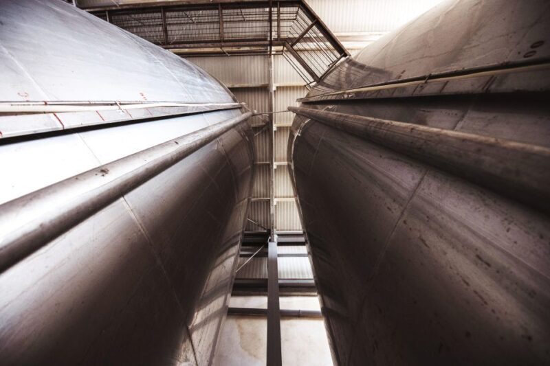 Winery tour and tasting of Sicilian organic wines in Marsala - Analyzing the Value