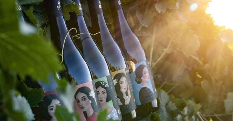 Winery tour and tasting of Sicilian organic wines in Marsala - The Bottom Line