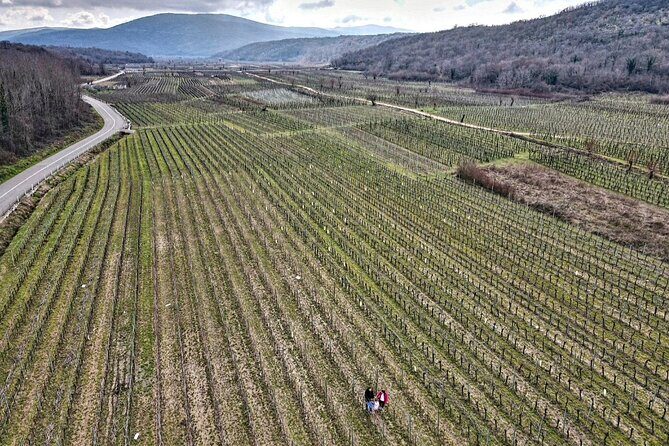 Winery Tour and Tasting with the Sommelier in KRK - Key Points