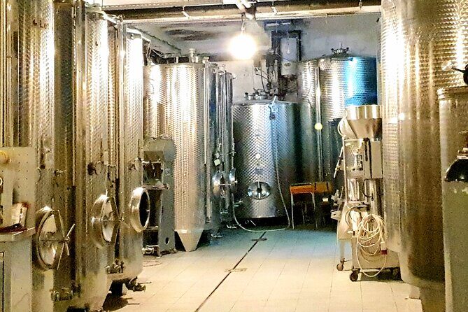 Winery Tour and Tasting with the Sommelier in KRK - Who Is This Tour Best For?