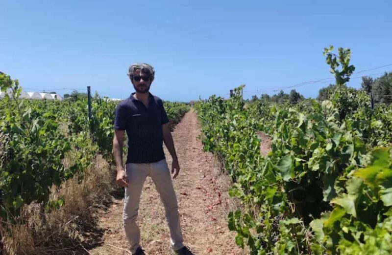 Winery Tour and Wine & Local Food Tasting near Ragusa - Exploring the Experience in Detail