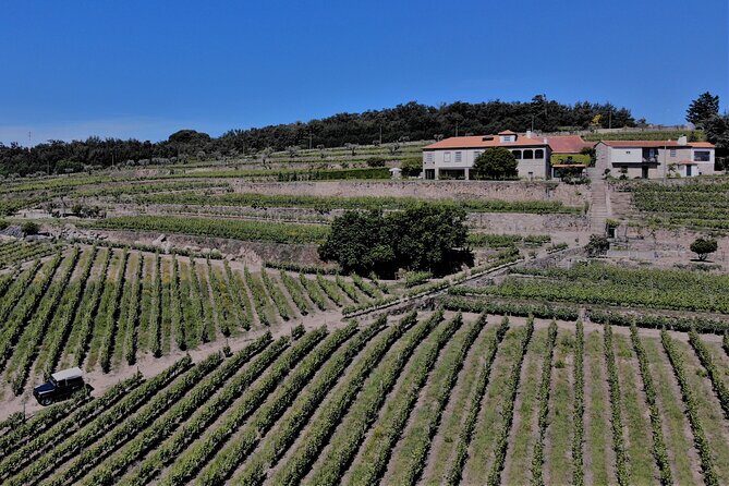 Winery Tour and Wine Tasting Quinta da Portela de Baixo in Lamego - Final Thoughts