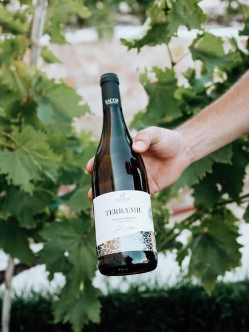 Winery tour and wine tasting - A Closer Look at What’s On Offer