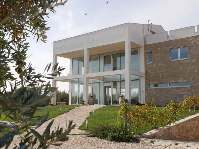 Winery tour and wine tasting - Final Thoughts