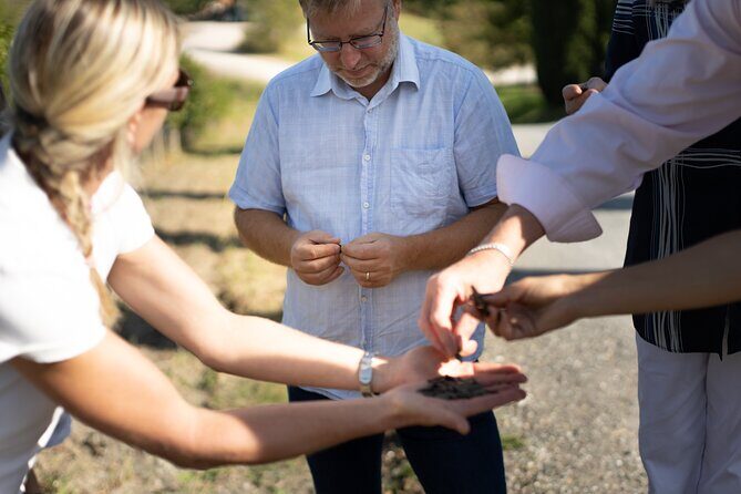 Winery Tour & Gourmet Tasting in Montalcino - Practicalities: What to Know Before You Book