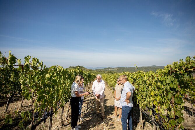 Winery Tour & Gourmet Tasting in Montalcino - FAQ