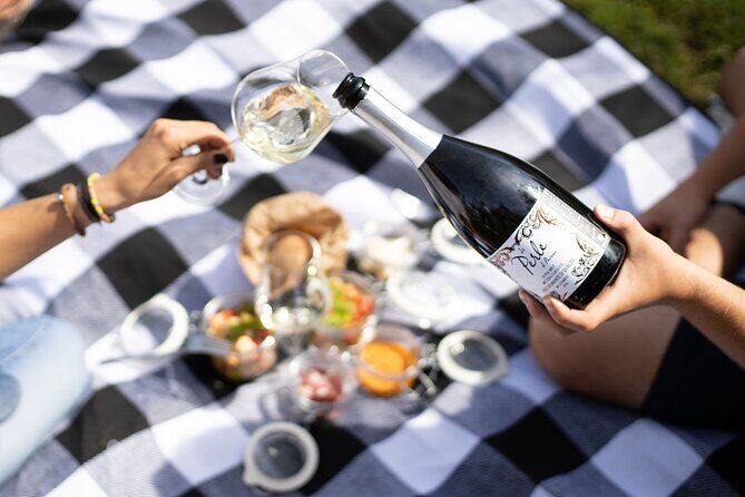 Winery Tour & picnic in the vineyard with a bottle of wine - An Honest Look at the Winery Tour & Picnic Experience