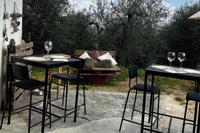 Winery Tour & Tasting in Pisa Countryside - An In-Depth Look at the Winery Tour & Tasting